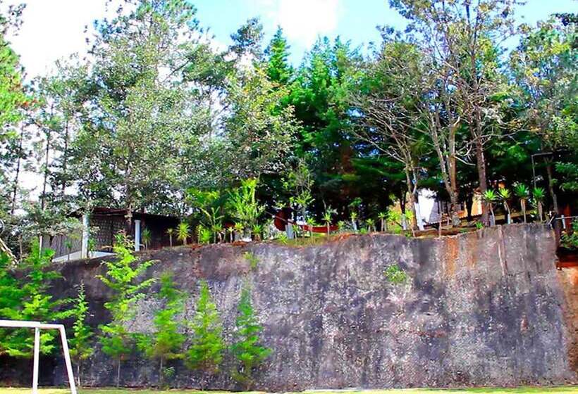 Paz En La Tormenta San Martin Hostel