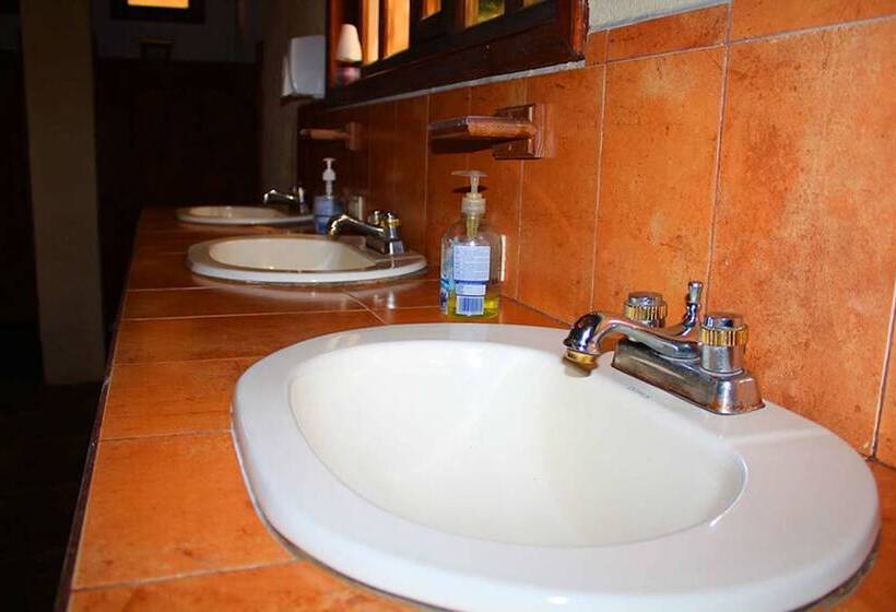 Paz En La Tormenta San Martin Hostel