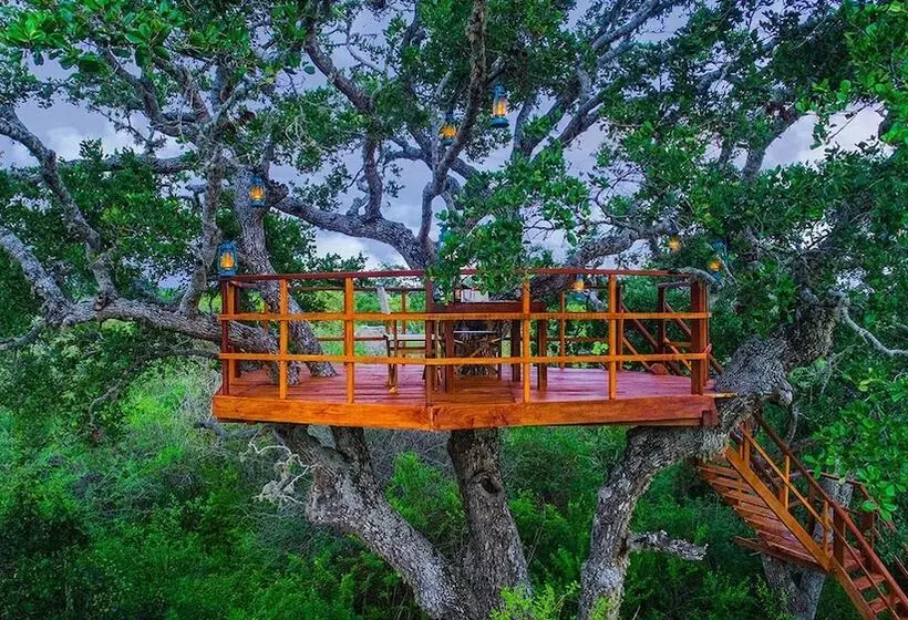 هتل The Sanctuary Yala