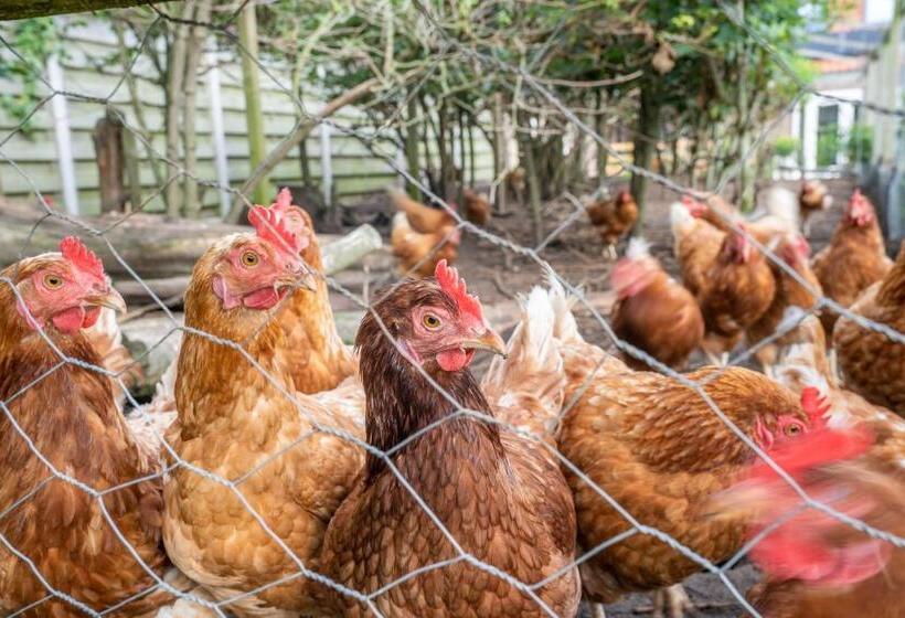 بنسيون Nieuw Leven Texel