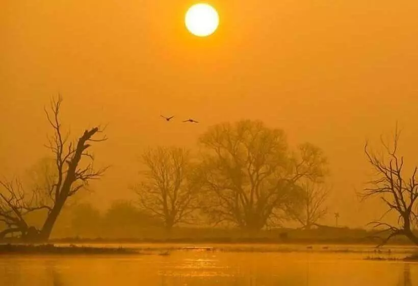 Majatalo Gasthaus Wagner