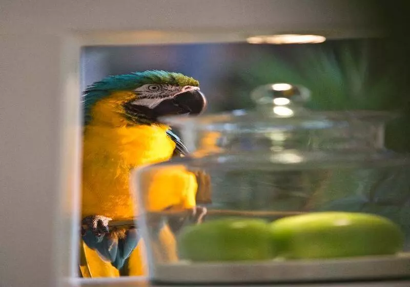 酒店 Anantara Hua Hin Resort