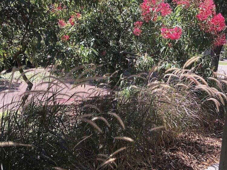 Gumnut Grove The Vintage