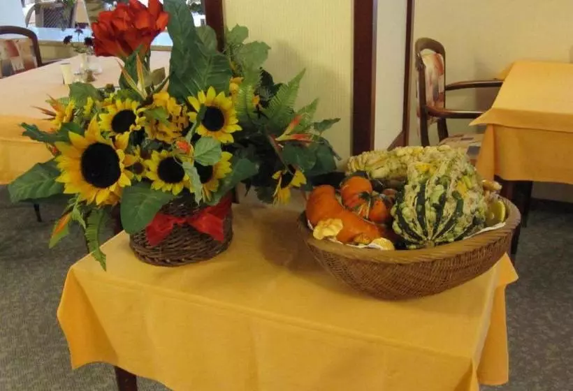 Pension Marie Luise, Hotel Garni