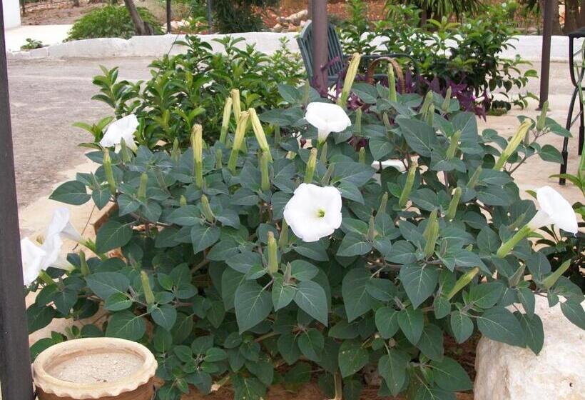 乡村酒店  Agriturismo I Trulli Di Zio Dino