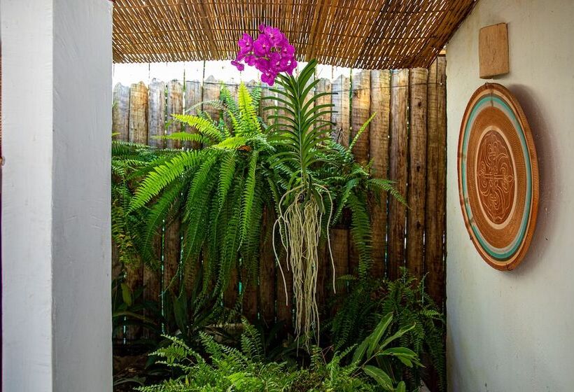 Hostal Casa E Pousada Alecrim