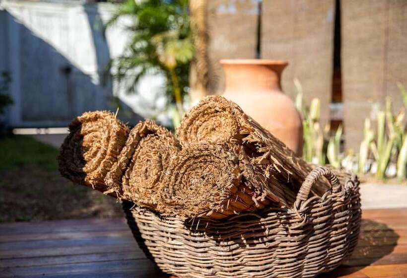 Hostal Casa E Pousada Alecrim