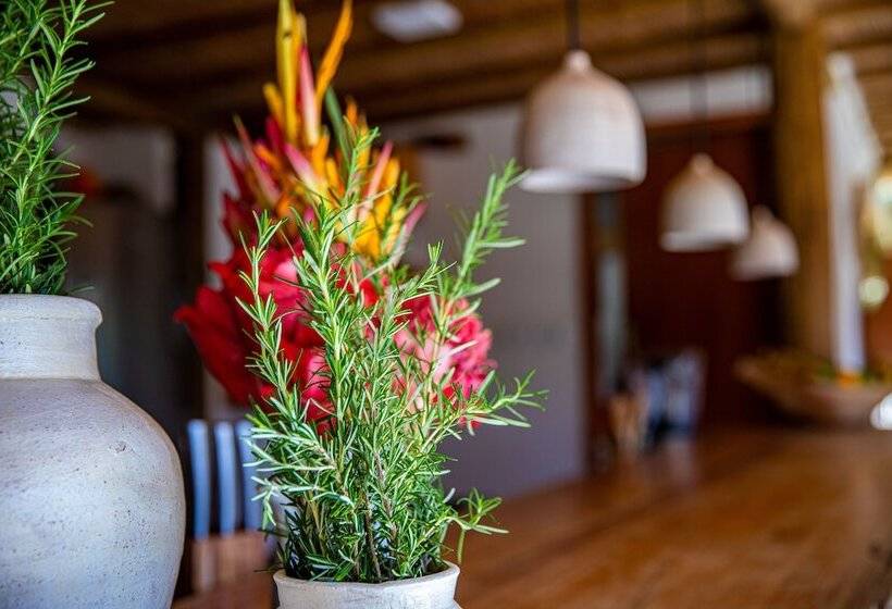 Hostal Casa E Pousada Alecrim