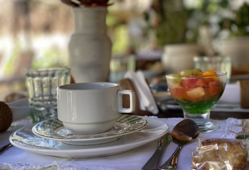 Hostal Casa E Pousada Alecrim