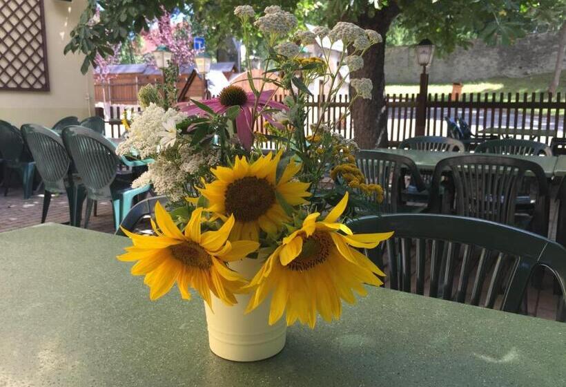 Digitales Event & Hochzeitshotel Zum Grünen Baum