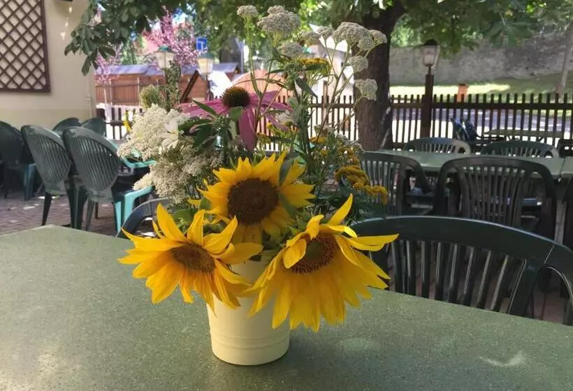 Digitales Event & Hochzeitshotel Zum Grünen Baum