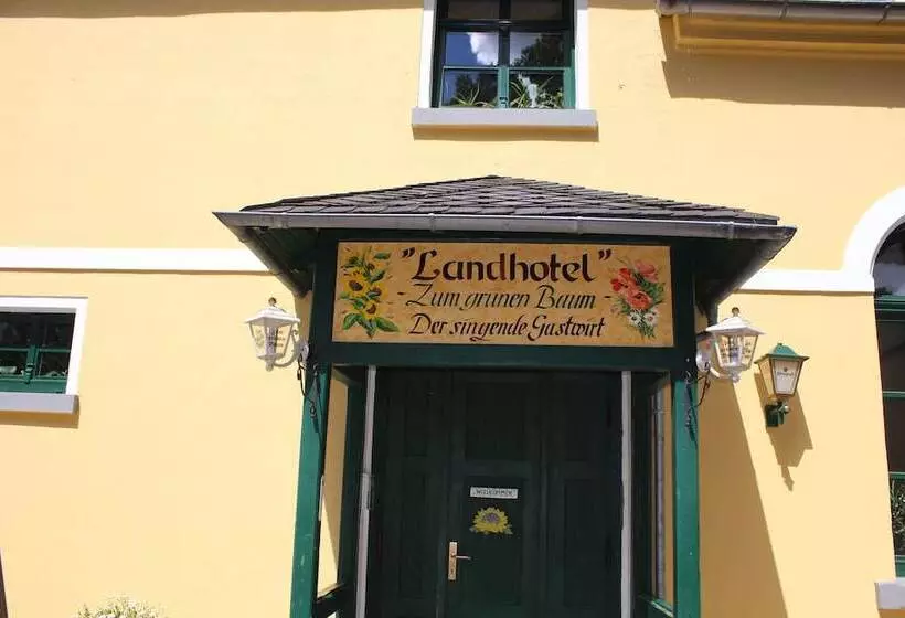 Digitales Event & Hochzeitshotel Zum Grünen Baum