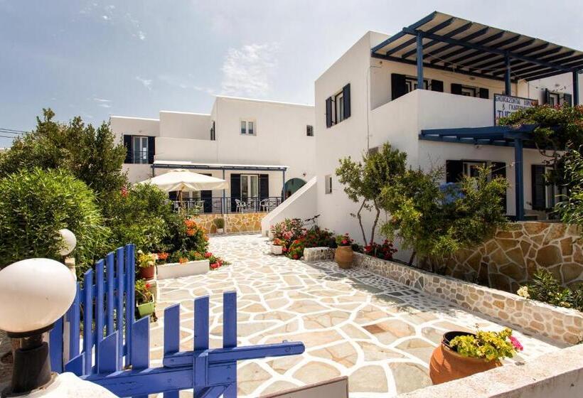 هتل Theologos Place