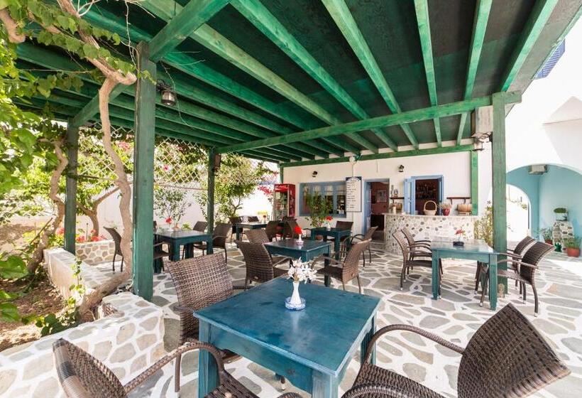 هتل Theologos Place