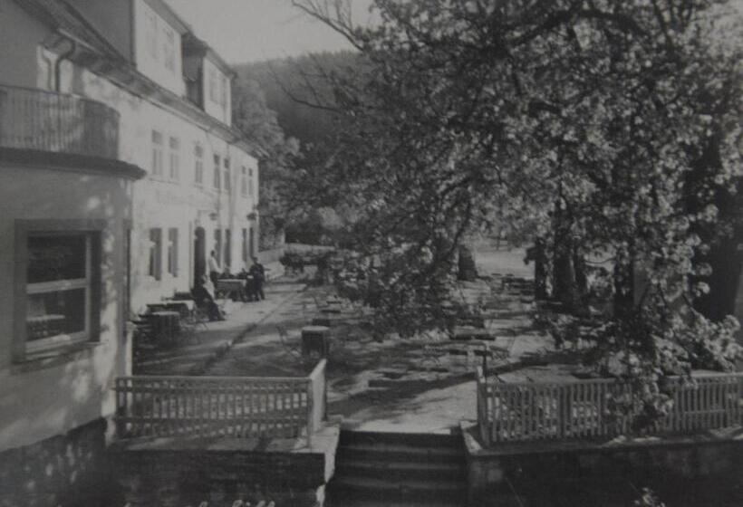 Отель Zum Weserdampfschiff