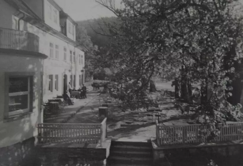 Hotelli Zum Weserdampfschiff