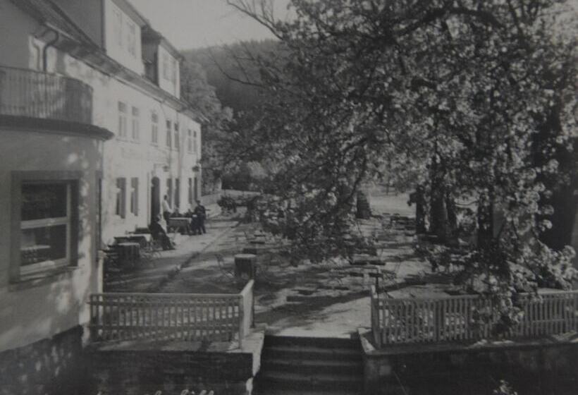 Отель Zum Weserdampfschiff