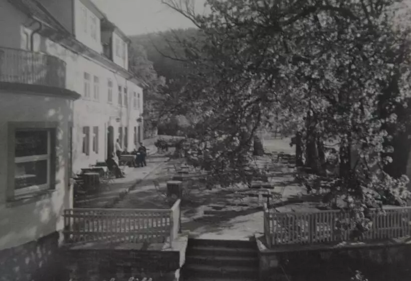 Hotelli Zum Weserdampfschiff