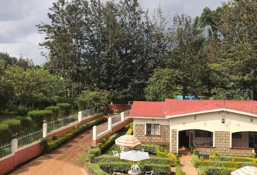 Pension Easy Sleep Guesthouse