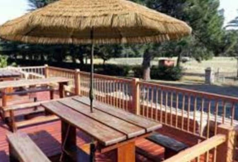 مبيت وإفطار The Oval Guesthouse