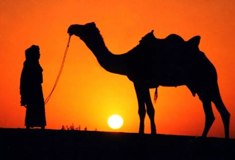 ホテル Bhawana Camp And Resorts