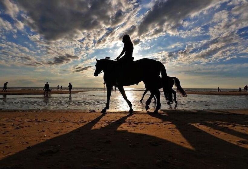 فندق La Rosa Amsterdam Beach