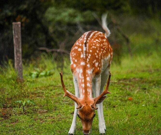 فندق La Rosa Amsterdam Beach