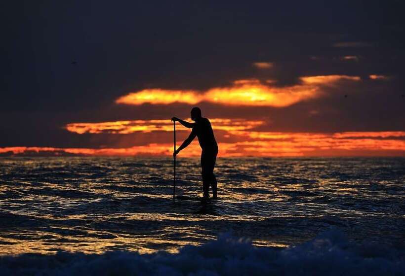 فندق La Rosa Amsterdam Beach