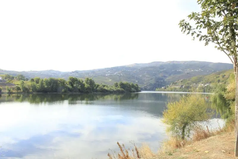 ペンション Casa Do Salgueiral Douro