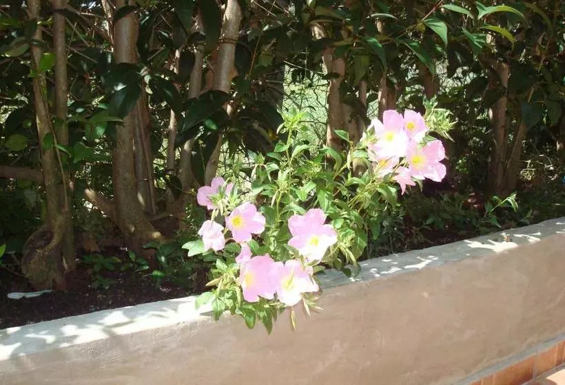 پانسیون To Agridi