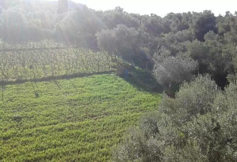 پانسیون To Agridi