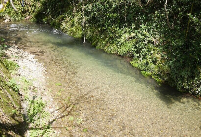 ריוקאן Shikinomori Shibian