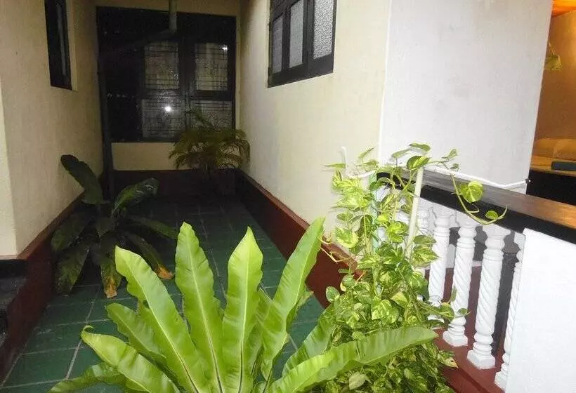 Mama S Villa By Taprobane   Hostel