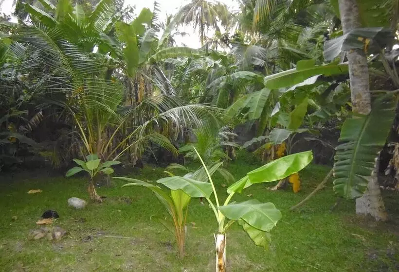 Mama S Villa By Taprobane   Hostel