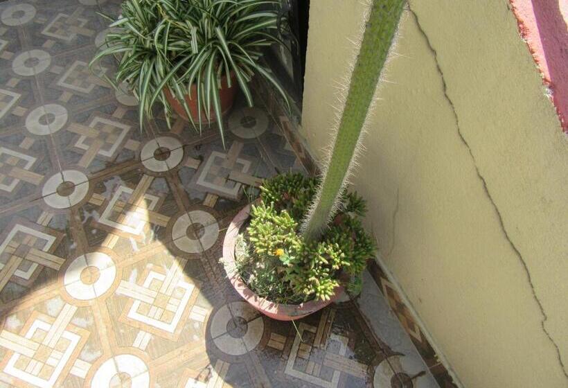 هتل Stupa View Inn