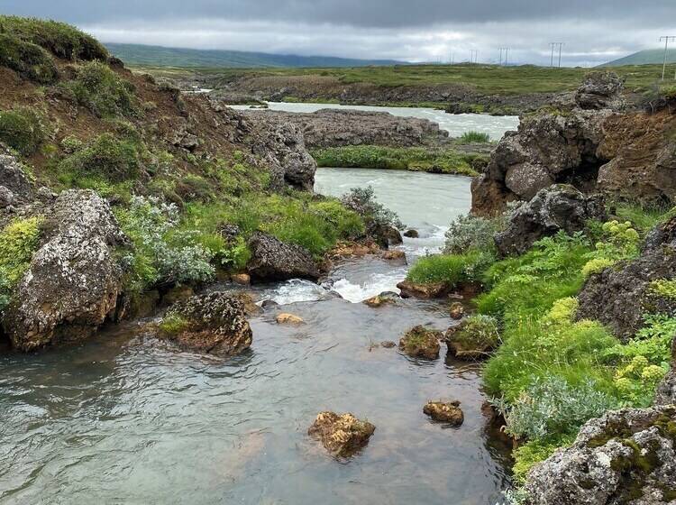 בית מלון כפרי Fljotsbakki Farm