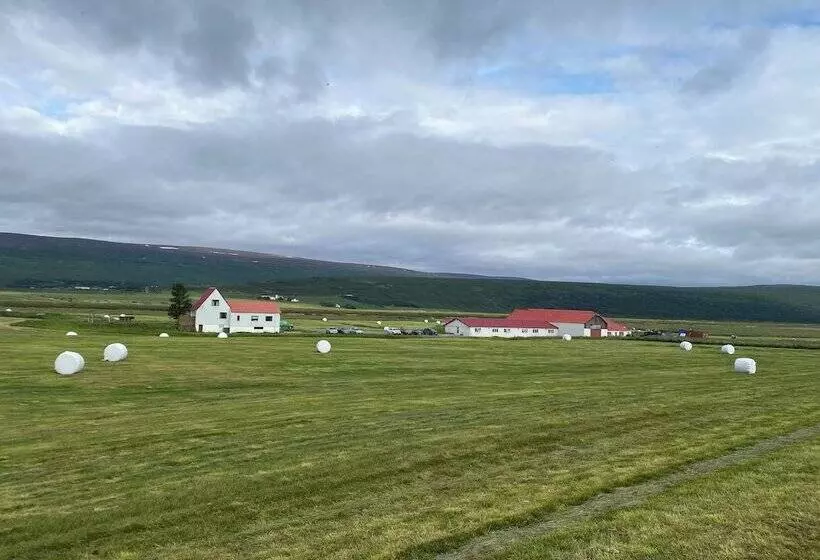هتل Fljotsbakki Farm