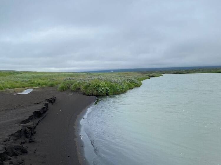 בית מלון כפרי Fljotsbakki Farm