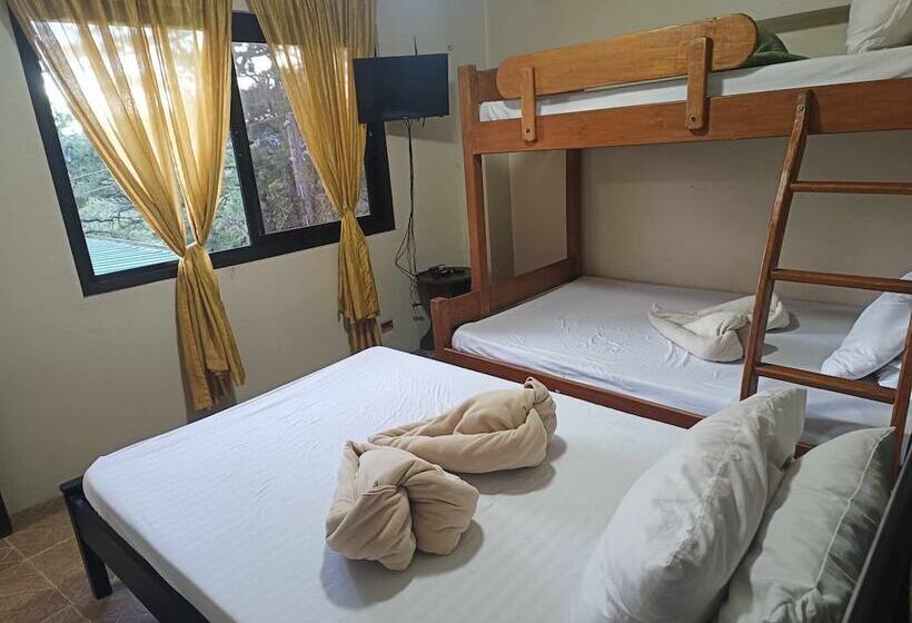 בית מלון כפרי Vista De Pino