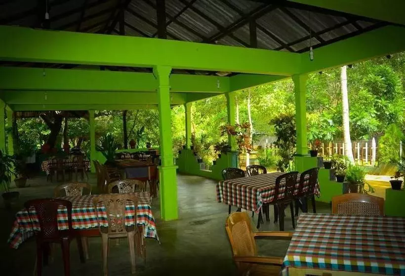 ペンション Paradise Guest House