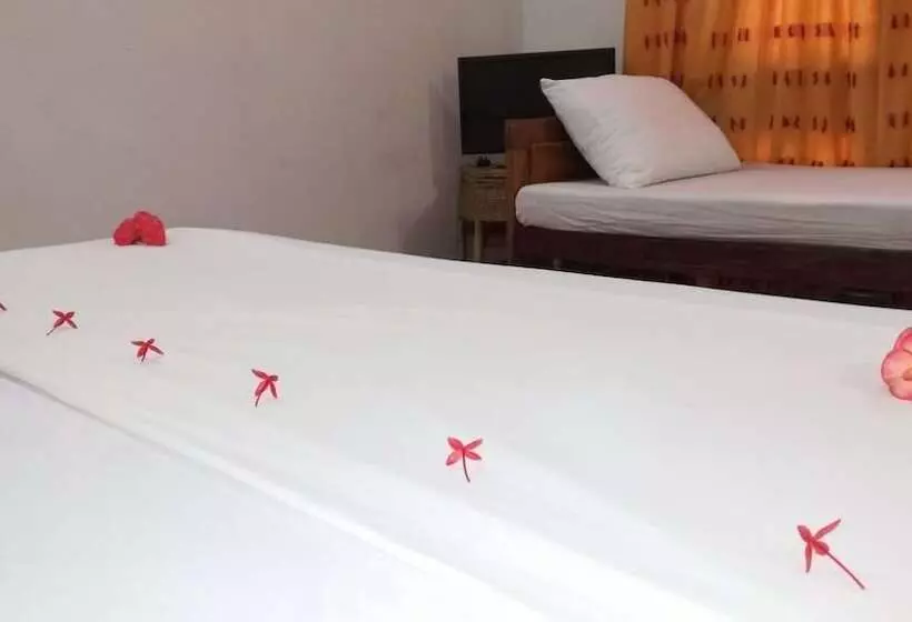 ペンション Paradise Guest House