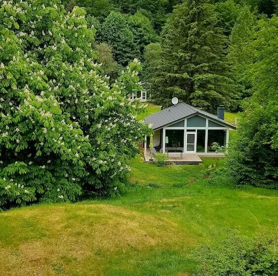 Ferienhaus Lichtung