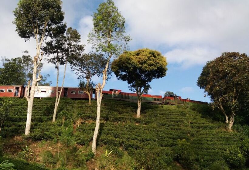 Hotel Train View Chalet