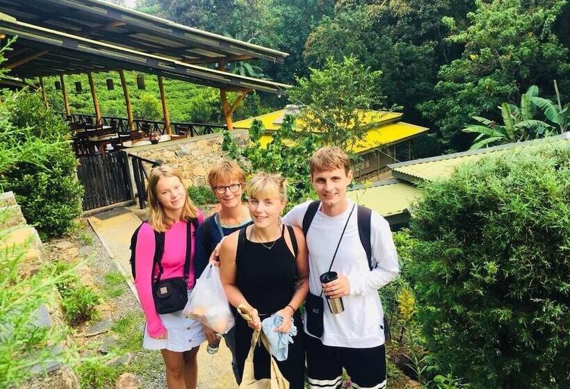 Hotel Train View Chalet