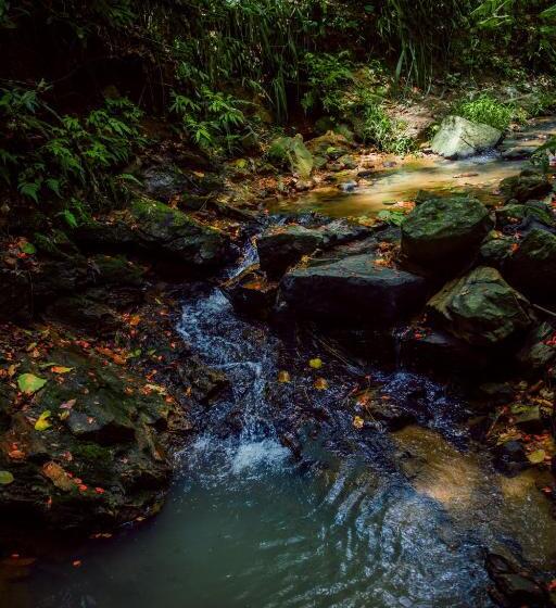 Hotel Train View Chalet