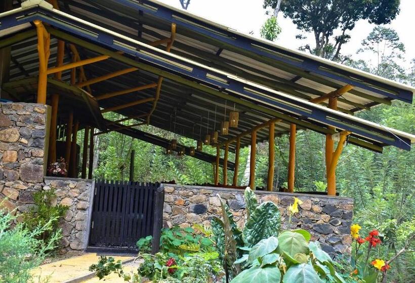 Hotel Train View Chalet