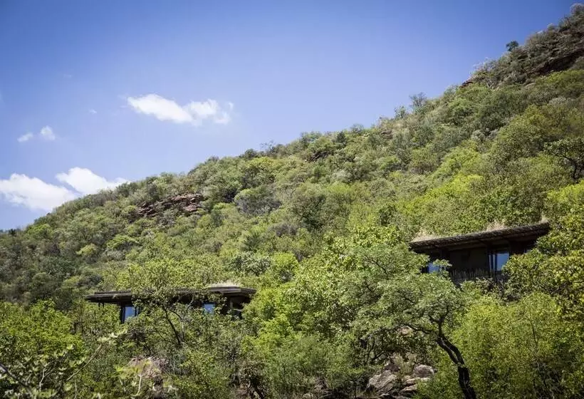ホテル Marataba Mountain Lodge