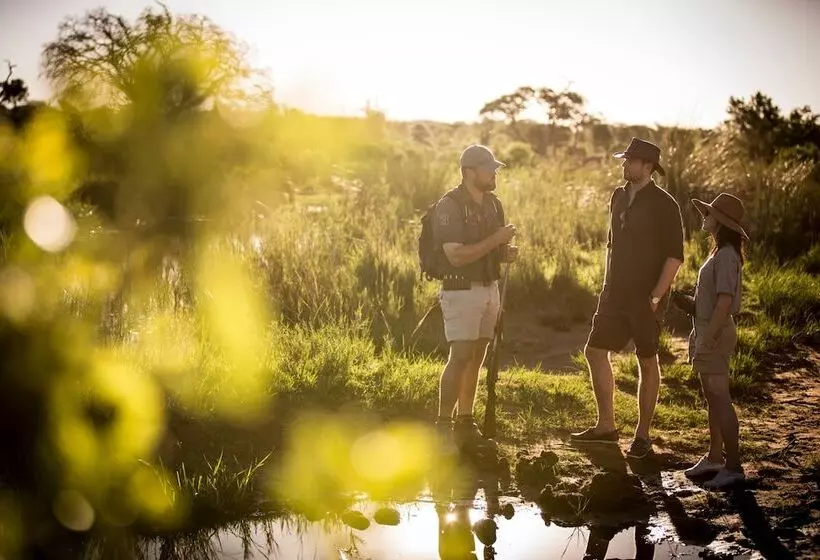 ホテル Marataba Mountain Lodge