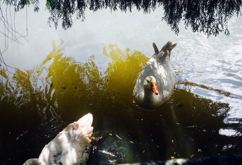 هتل Pousada Tucano Do Cuiabá
