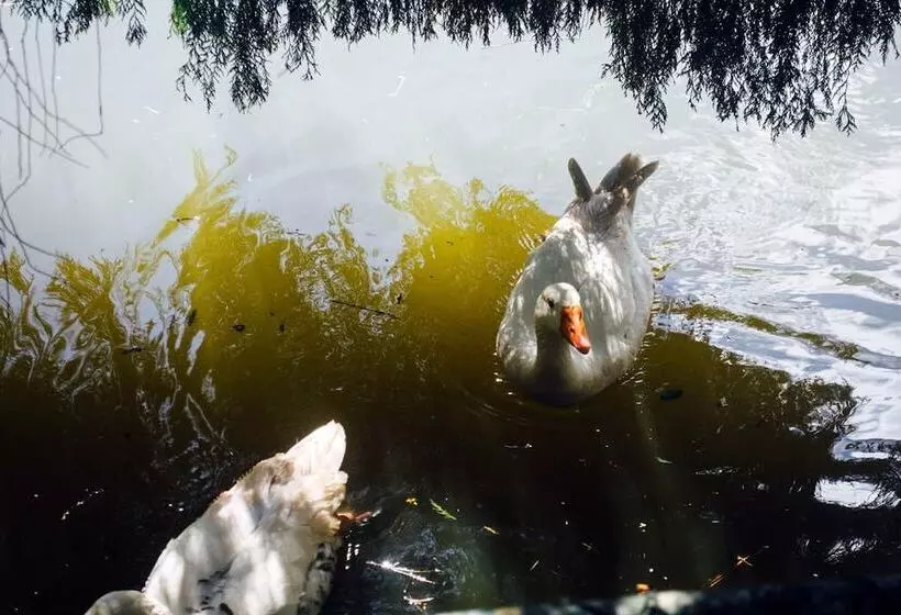 ホテル Pousada Tucano Do Cuiabá